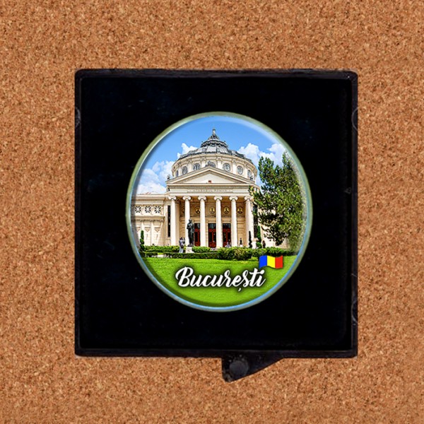 Insigna ovala
