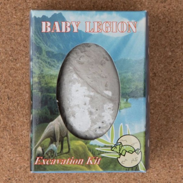 Pui  dinozaur  kit lut